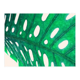 Foliage V2 (Print Only) thumbnail