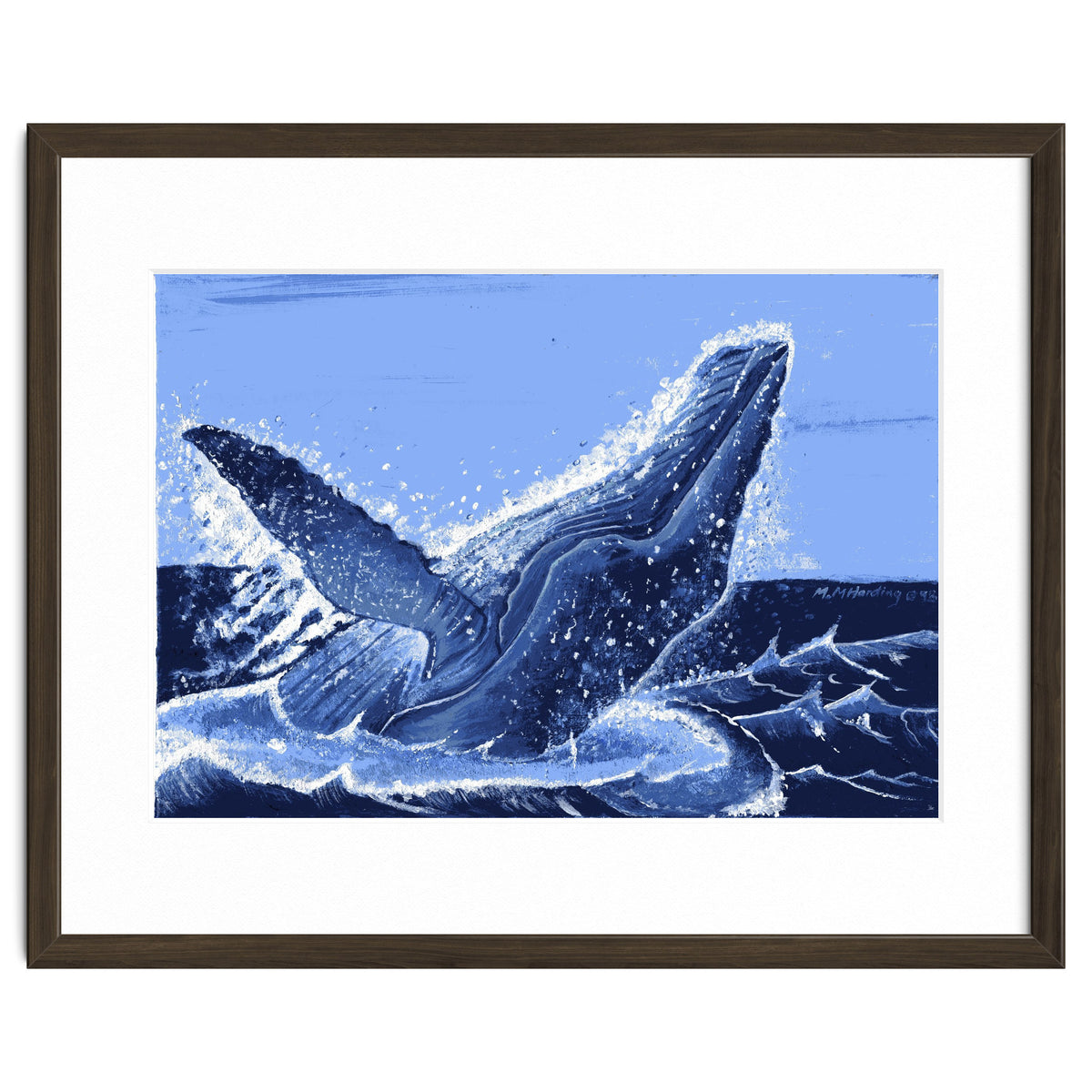 Humpback Whale Breaching