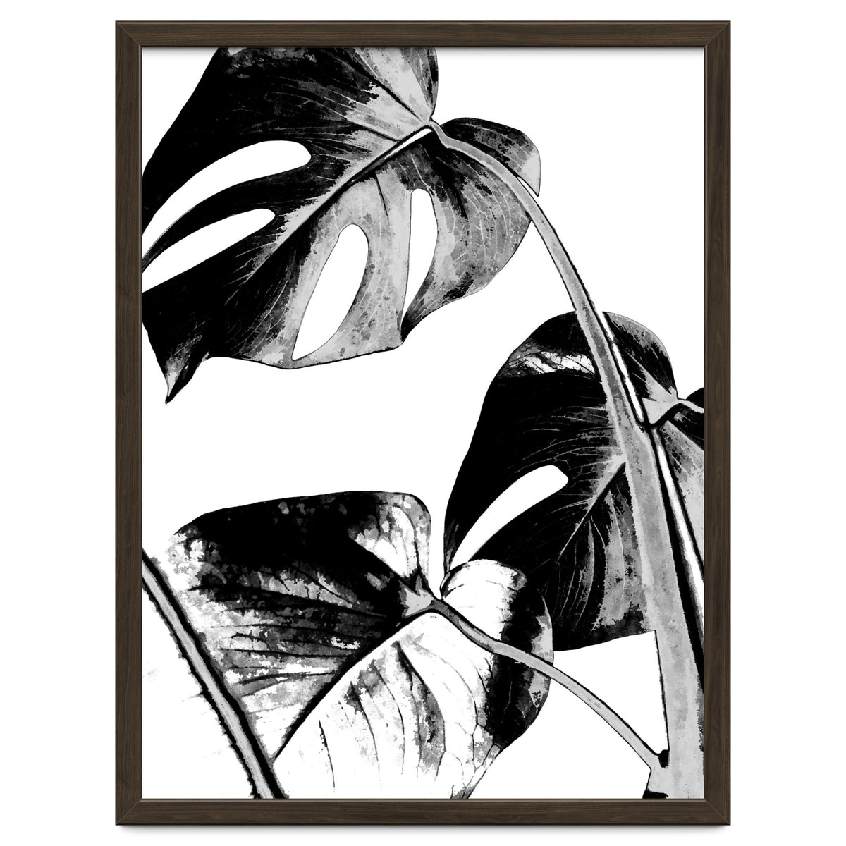 Black Tropical Leaves