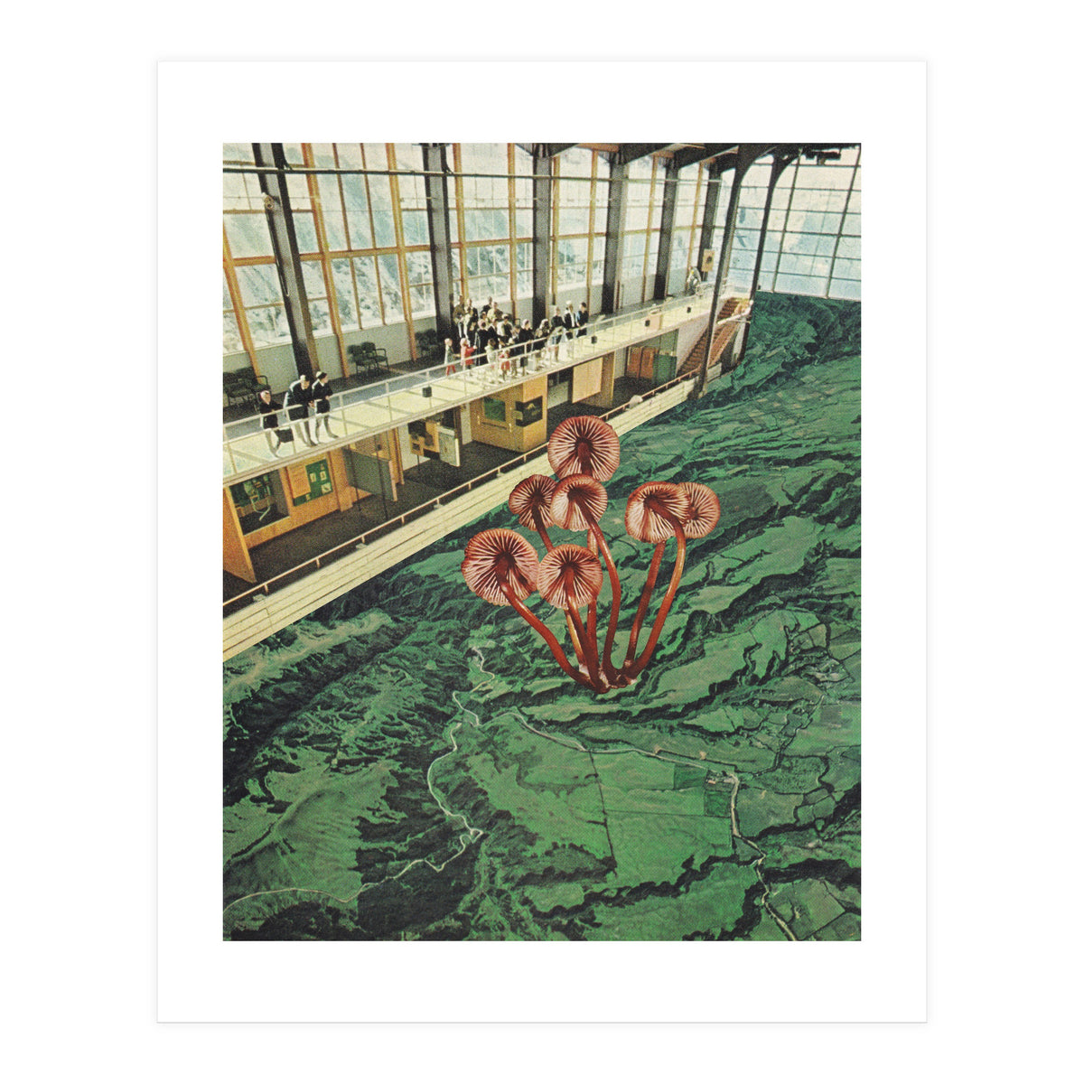 Mushroom Greenhouse (Print Only)