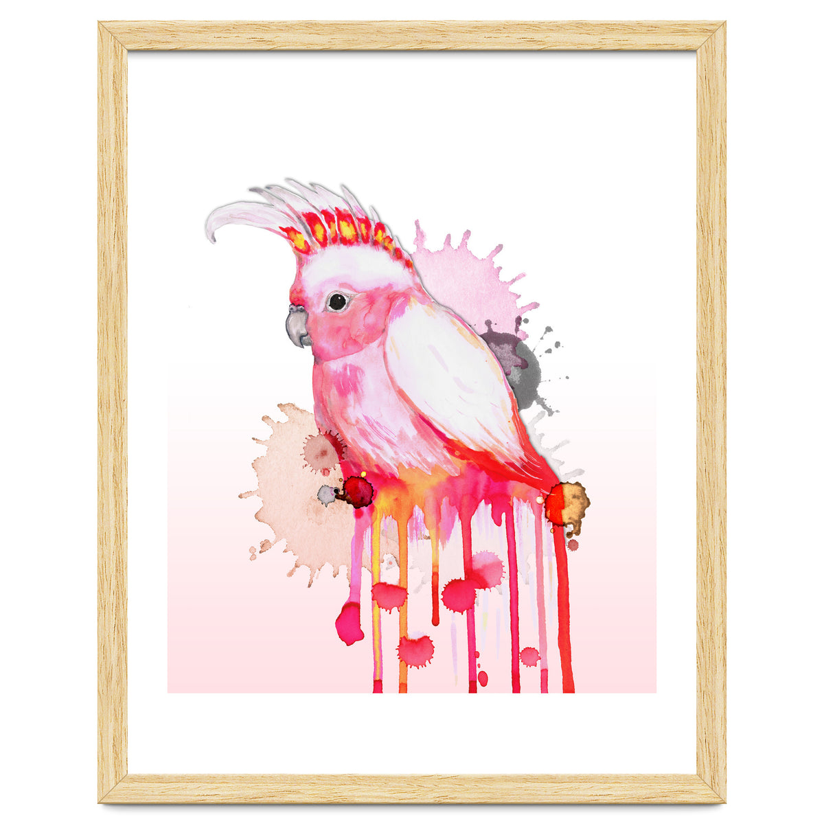 Major Mitchell's cockatoo