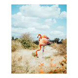 Flamingo Couple (Print Only) thumbnail