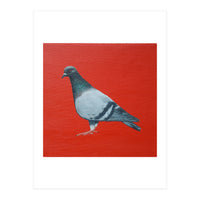 Pigeon (Print Only)