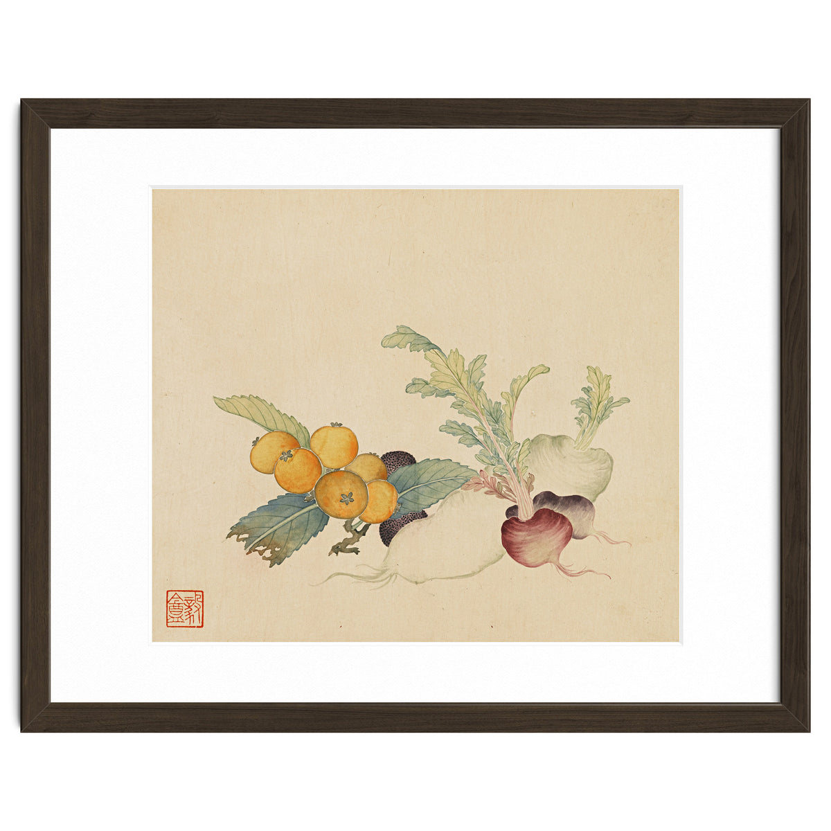Wang Chengpi~flowers And Vegetables, Vegetables, Fruits, Loquat, White Radish, Carrot, Radish
