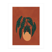 Boho Terracotta Begonia (Print Only)