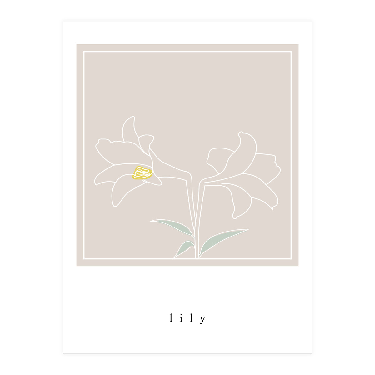 lily flower (Print Only)