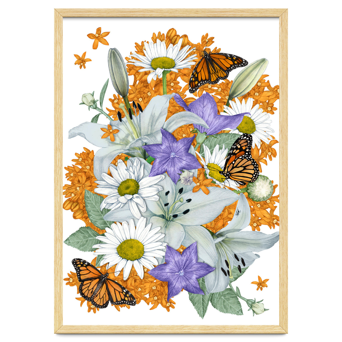 Lillies and Monarchs