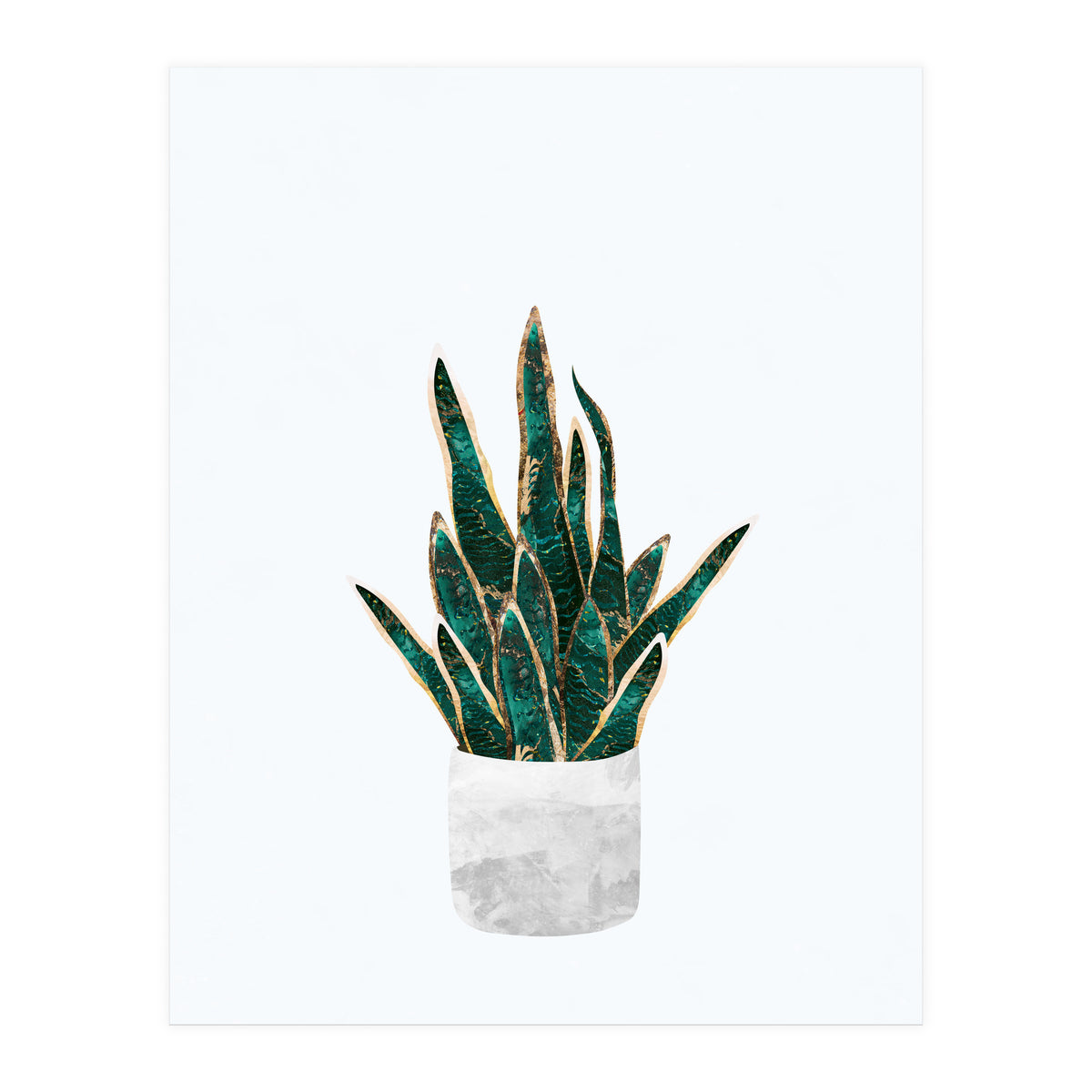Snake Plant gold and green (Print Only)