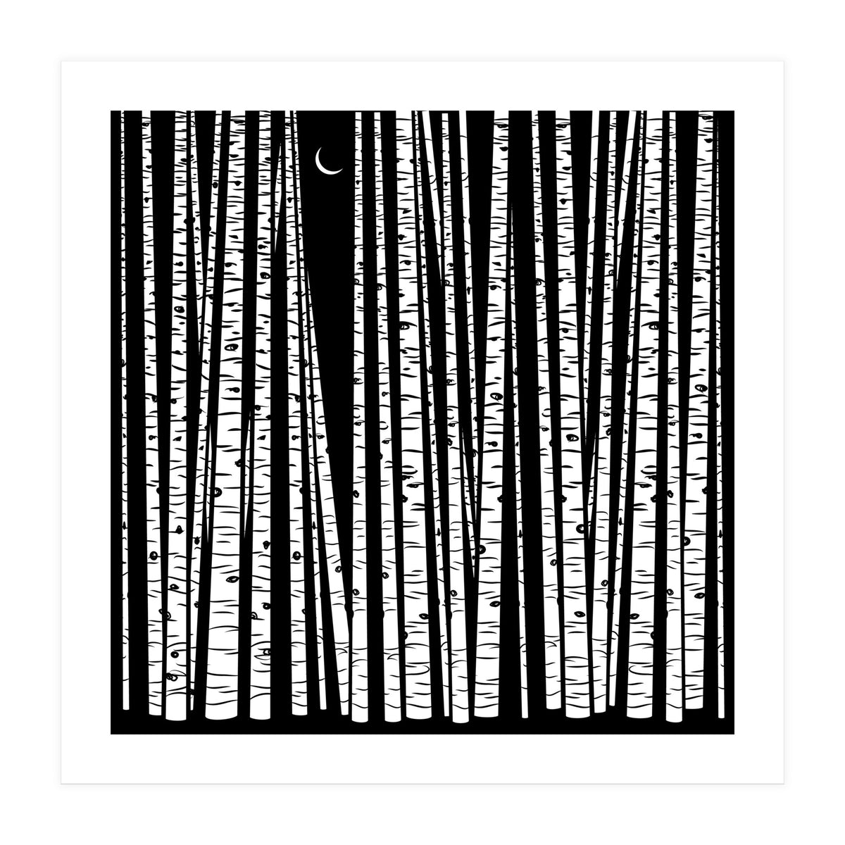 See the Forest... (Print Only)