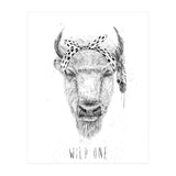 Wild One (Print Only) thumbnail