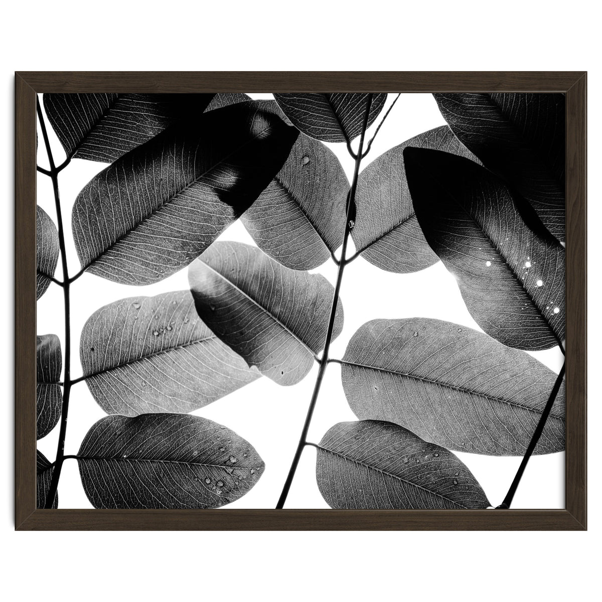 Experiments with Leaves II