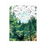 Save The Planet (Print Only) thumbnail