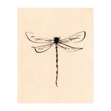 Dragonfly (Print Only) thumbnail
