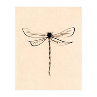 Dragonfly (Print Only)