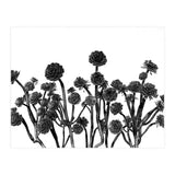 cactus succulents (Print Only) thumbnail