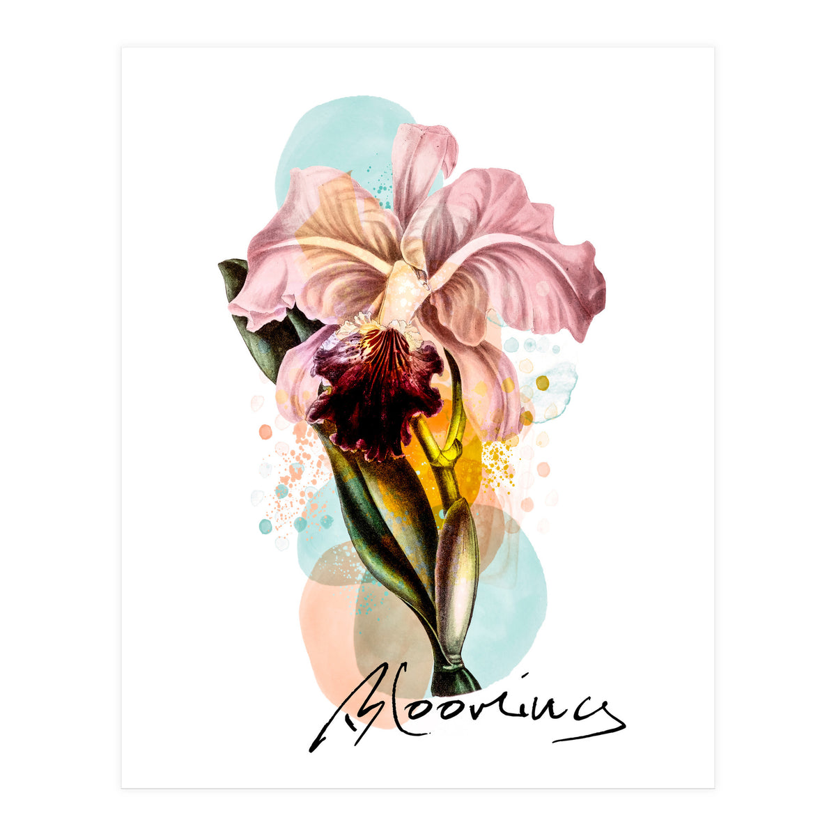 Blooming (Print Only)