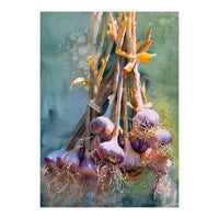 Still Life Garlic (Print Only)