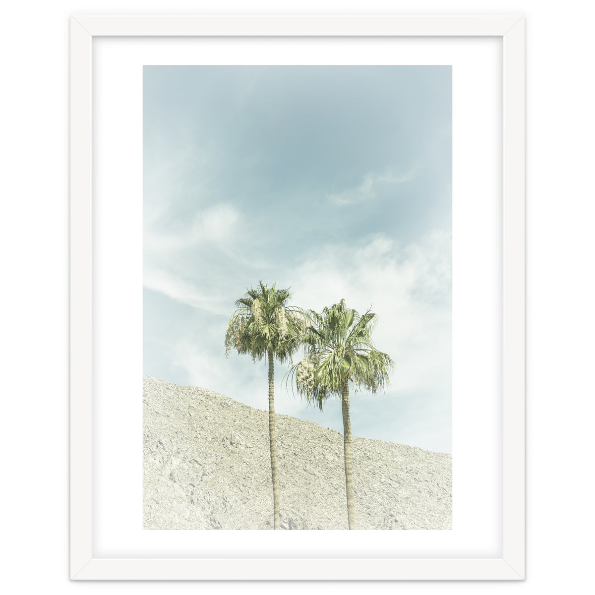 Palm Trees in the desert | Vintage