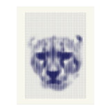 Lioness 2018 (Print Only) thumbnail