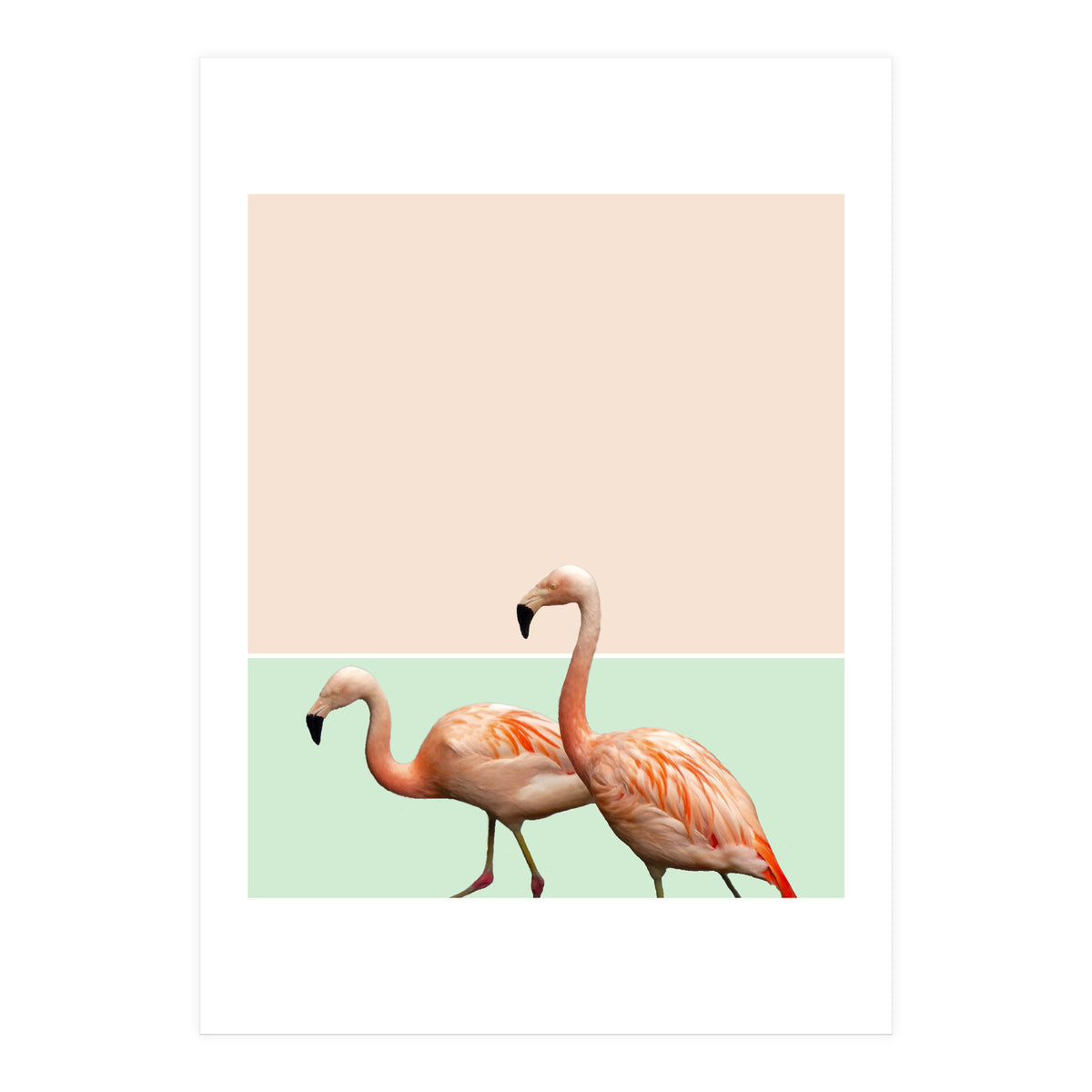 Flamingo Pastel Art (Print Only)
