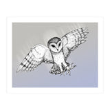 Attacking barn owl (Print Only) thumbnail