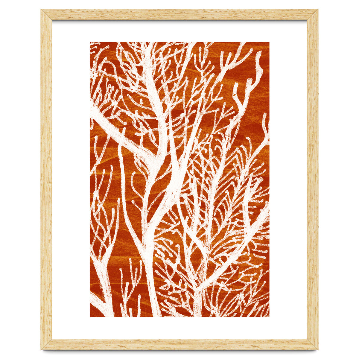 Desert Colours Collection 2