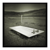 Waterstein 4 (Print Only) thumbnail