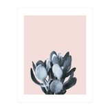 Cactus collection BL-II (Print Only) thumbnail