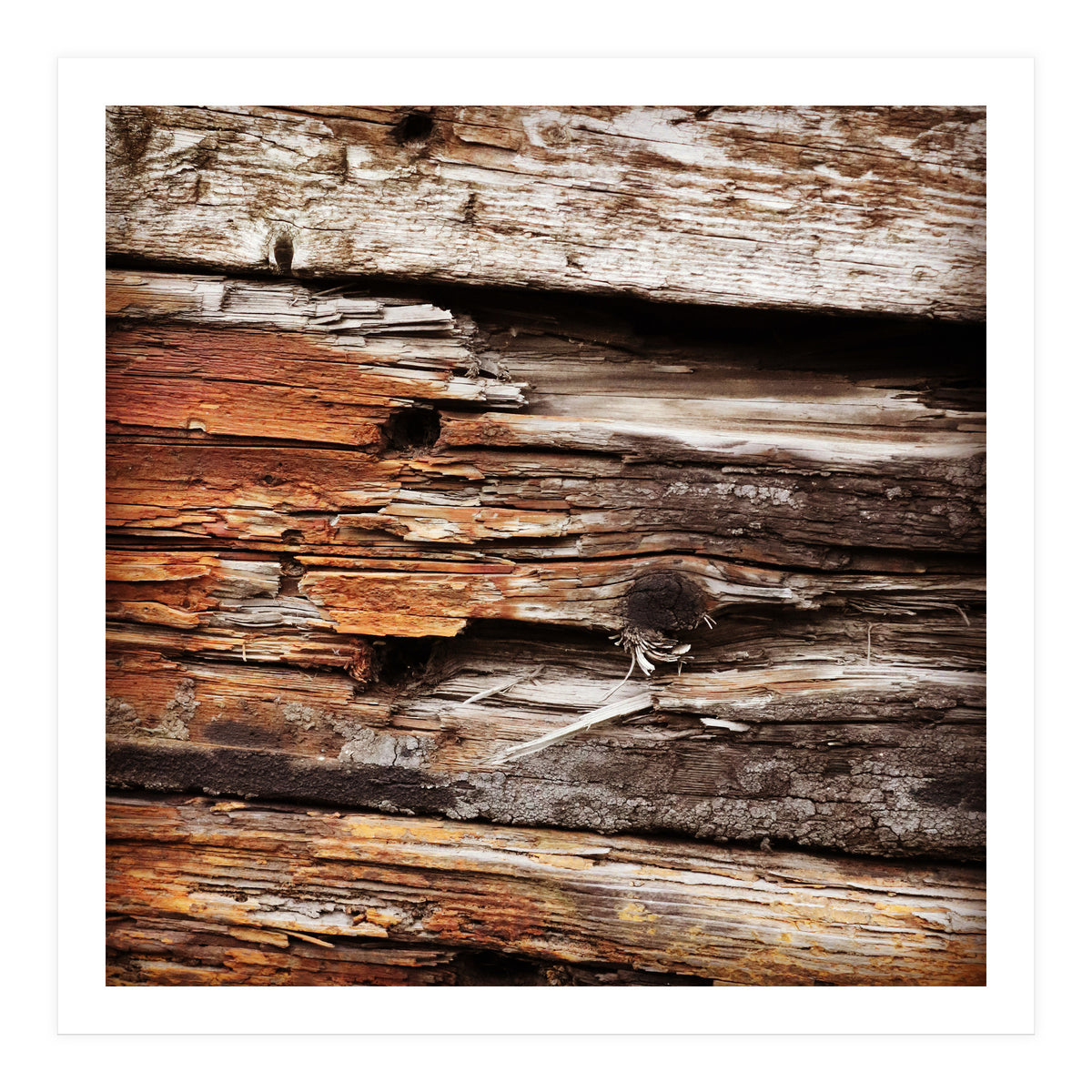 weather worn wood (Print Only)