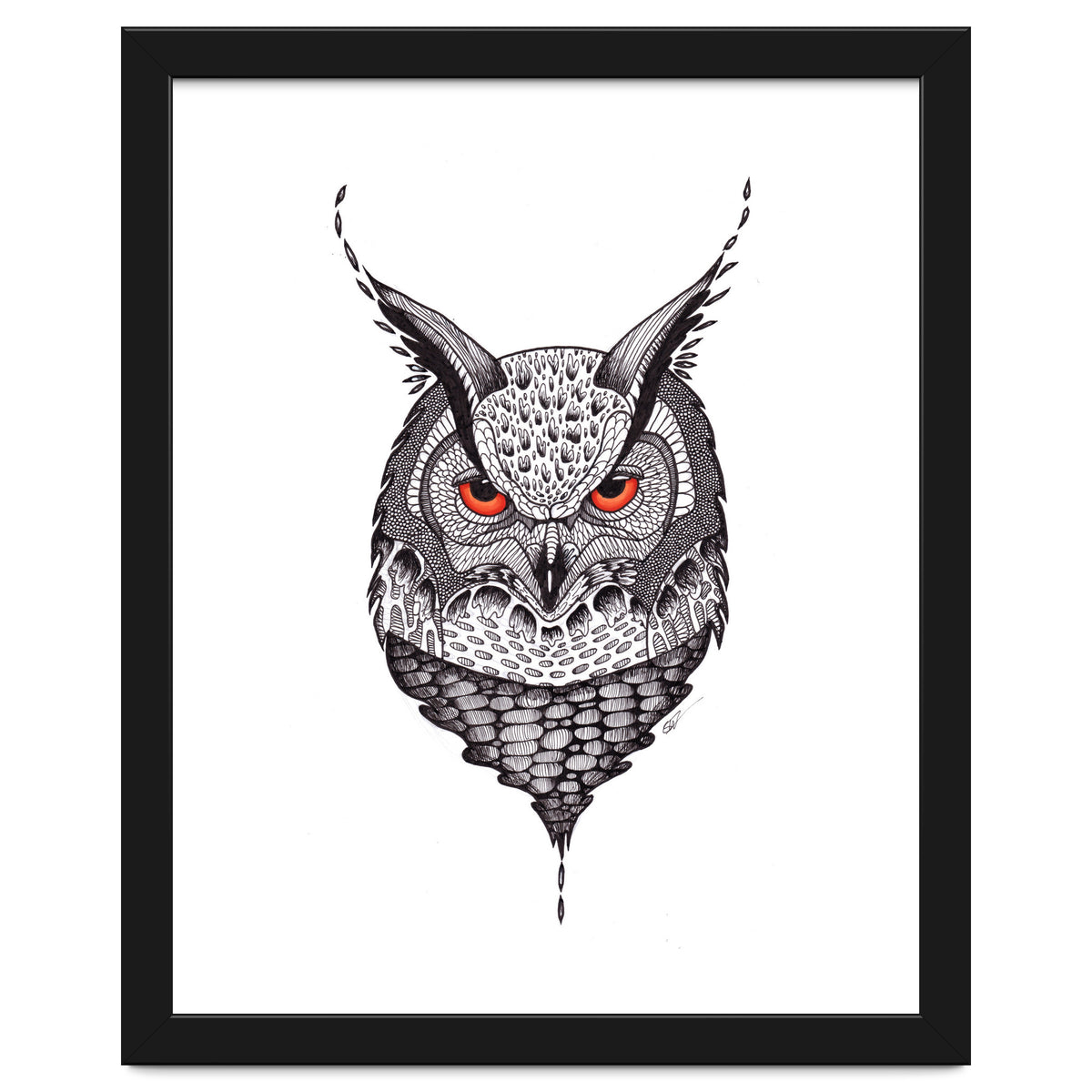 Owl