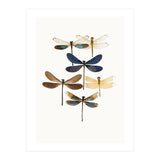 Cc Insects 10 (Print Only) thumbnail