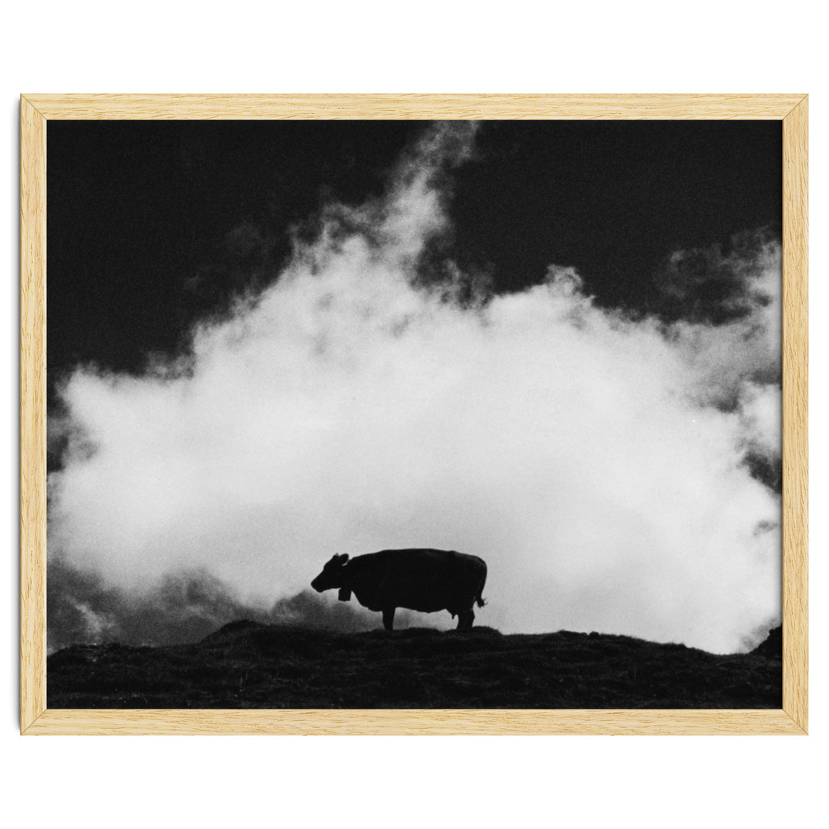 cow and cloud