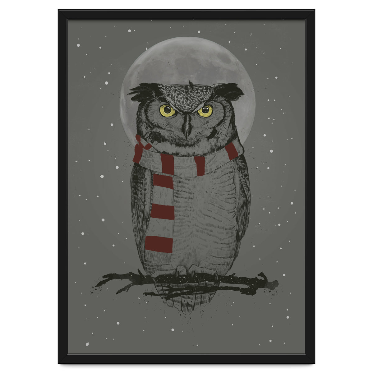 Winter Owl