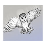 Attacking barn owl (Print Only) thumbnail