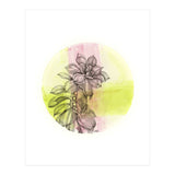 Succulent On Pink And Green (Print Only) thumbnail