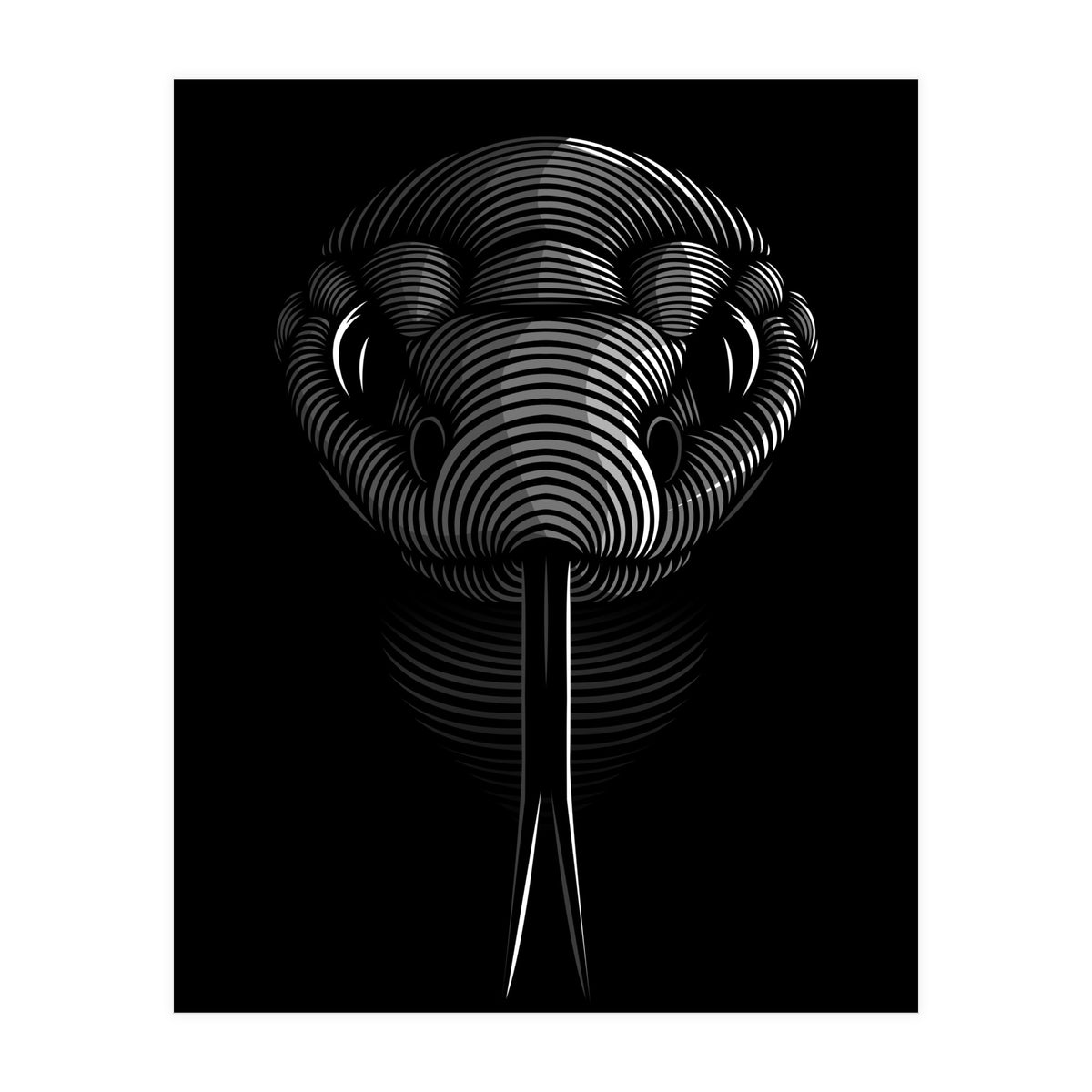 Snake lines (Print Only)