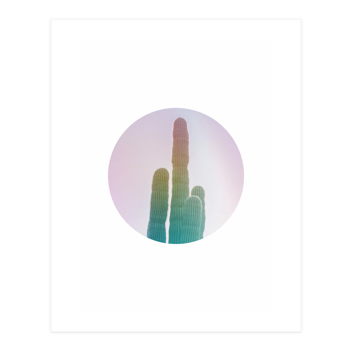 Circular Cacti (Print Only)