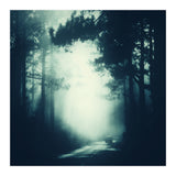 passage (Print Only) thumbnail