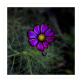 Floral autumn (Print Only) thumbnail