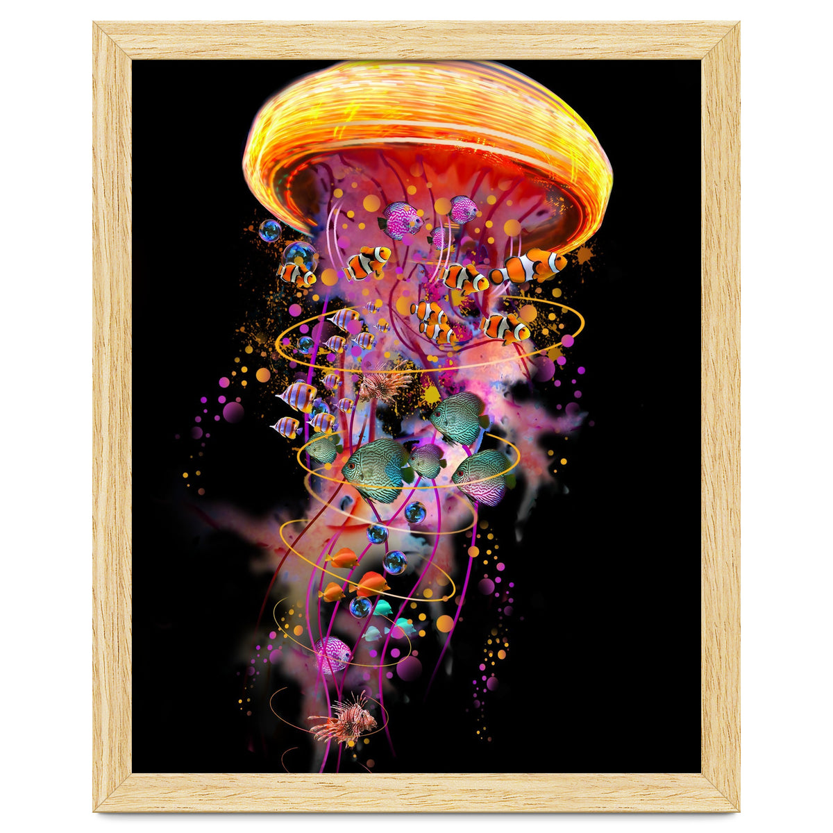 Jelly Fish Ride Summer2018 Dbh