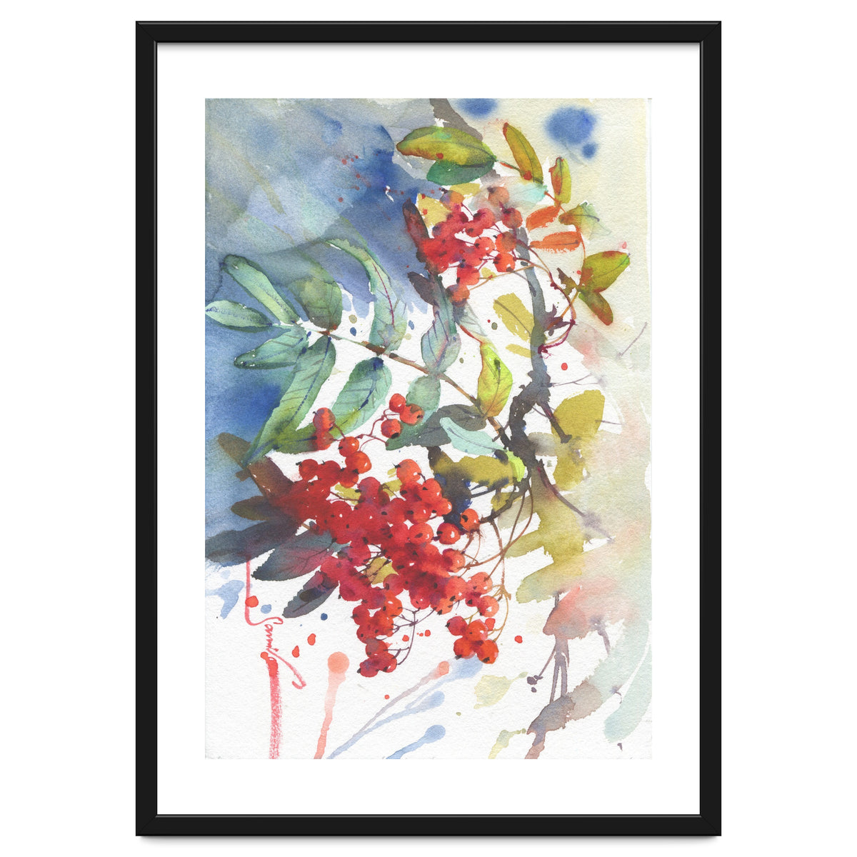 Viburnum / Guelder rose