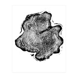 Alaskan Cypress, Tree Ring Art Print, Woodblock (Print Only) thumbnail