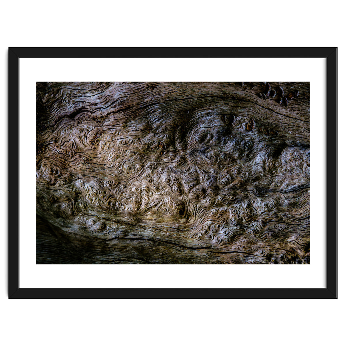 Burlwood pattern in tree