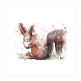 Squirrel - Wildlife Collection (Print Only) thumbnail