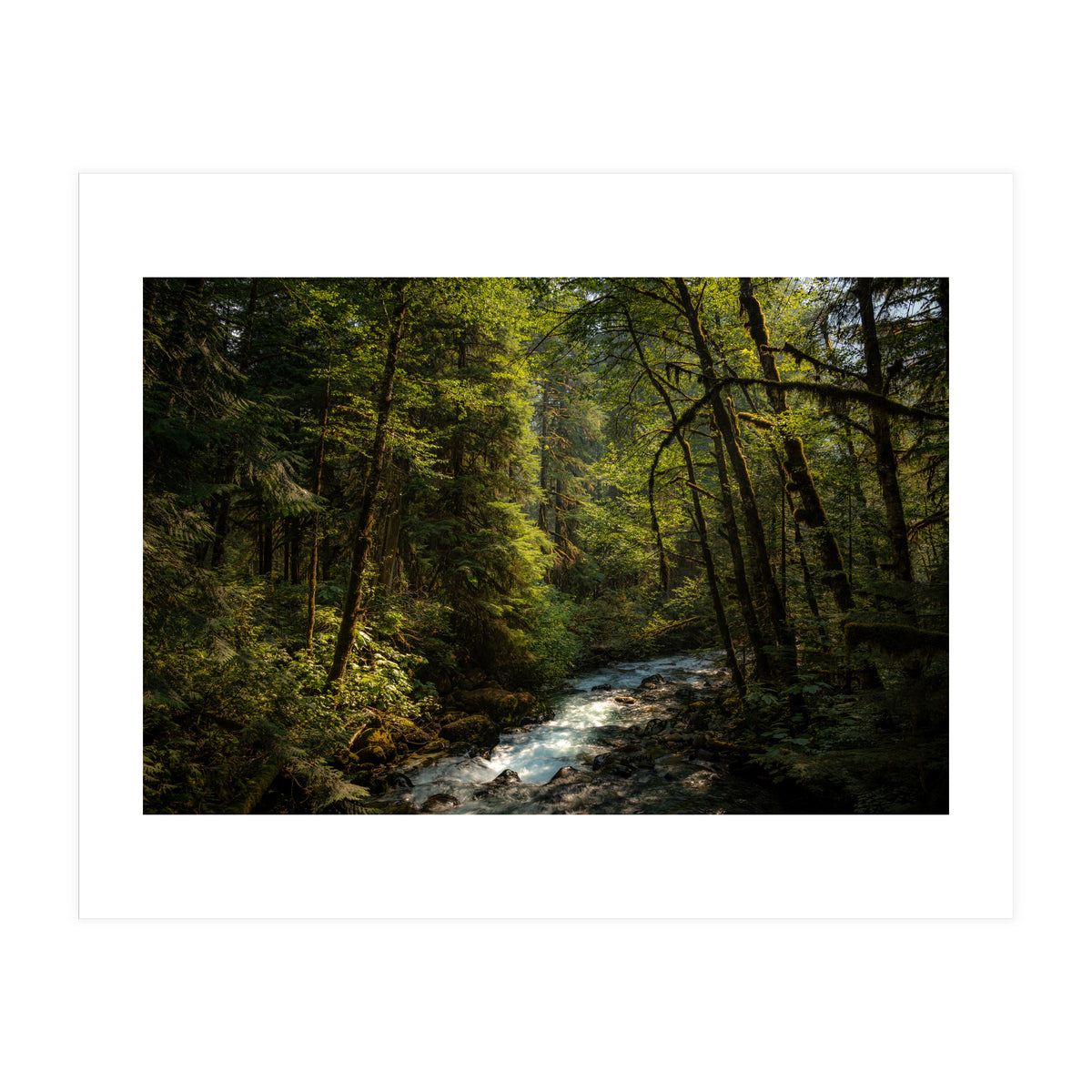 Cascade River (Print Only)