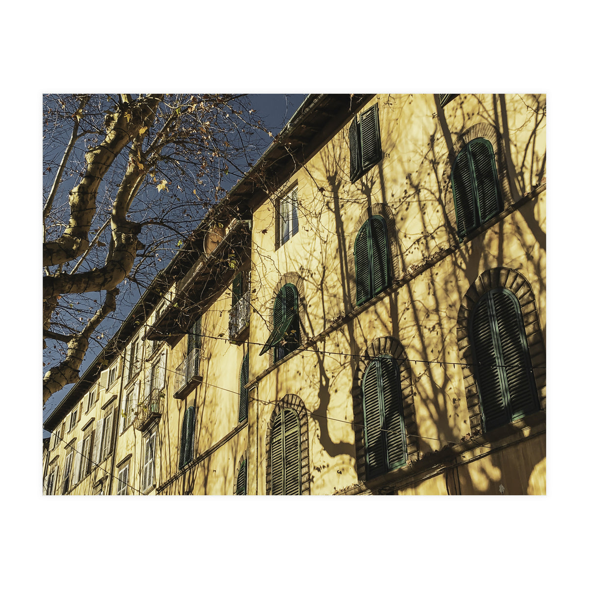 Windows From Tuscany 3 (Print Only)