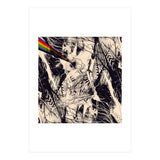 Envision (Print Only) thumbnail