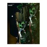 Disappeared Dreams 5 (Print Only) thumbnail
