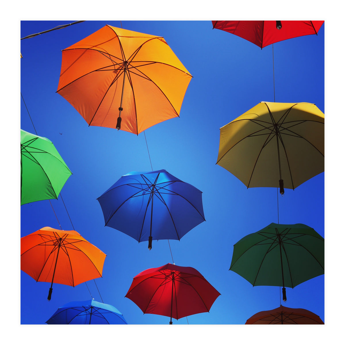 Rainbow umbrellas (Print Only)