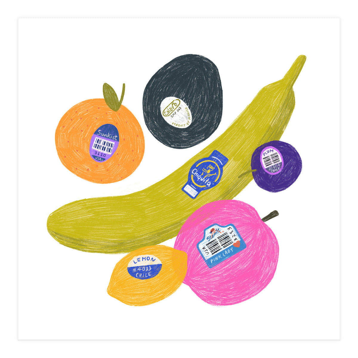 Fruit Stickers Square (Print Only)